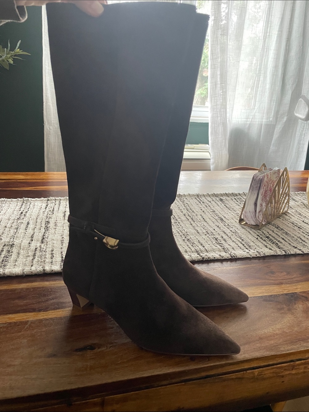 Coach Dark Brown Suede Knee-High Pointed-Toe Boots